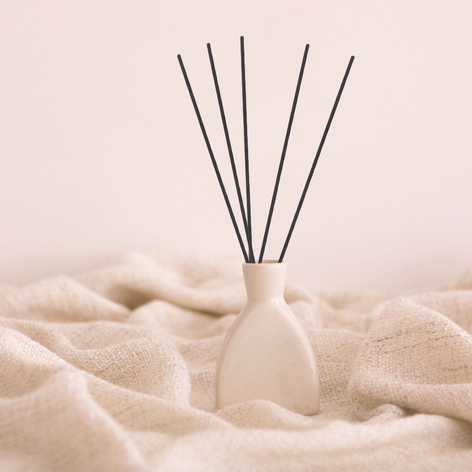 100Pcs Black Fiber Reed Diffus - Home Fragrances reseña y precio
