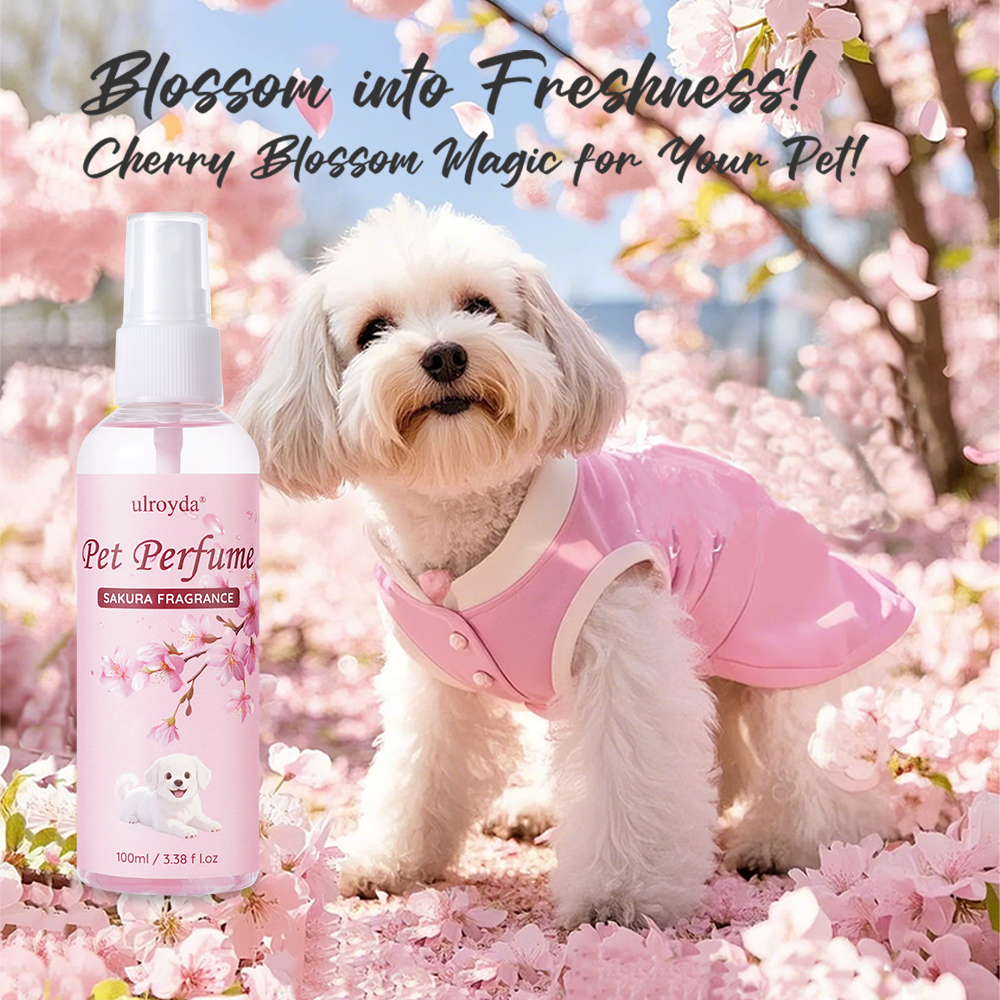 Sakura Pet Perfume Spray Long  - Home Fragrance Long Lasting reseña y precio